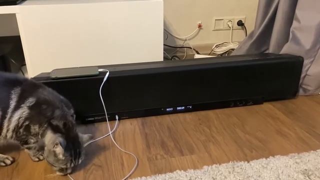 Yamaha YSP-4000 смотреть онлайн