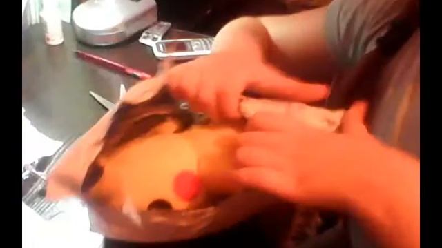 Рождение Пикачу смотреть онлайн