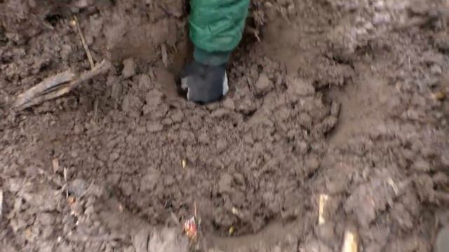 ПЕРВЫЙ КОП 2019! ЧТО МОЖНО НАЙТИ НА БОЛОТЕ. #Коп UA. смотреть онлайн