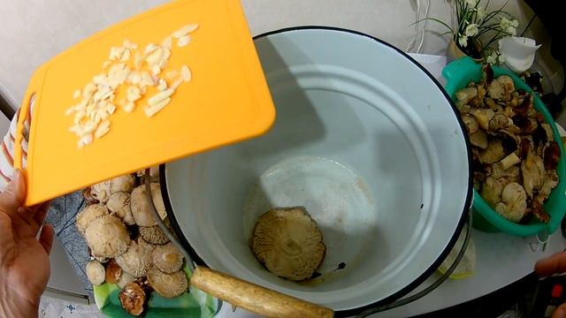 Аккуратный порядок