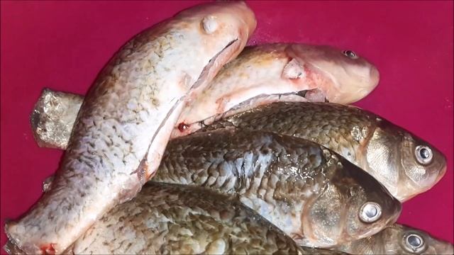 СОМИКИ И КАРАСИ В ВЕРХНЕМ ТАГИЛЕ//РЫБАЛКА смотреть онлайн