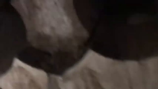 Алмазное сверление для установки сейфа. смотреть онлайн