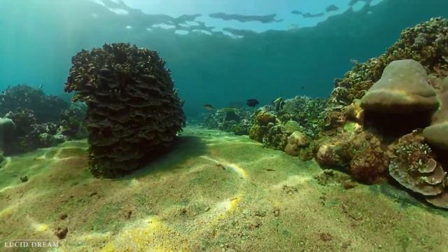 Нежная музыка ?Шум моря, шум моря для сна? успокаивает нервную систему и радует душу смотреть онлайн