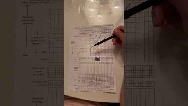 партограмма смотреть онлайн