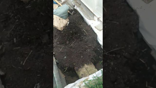 Инжир в центральной полосе смотреть онлайн
