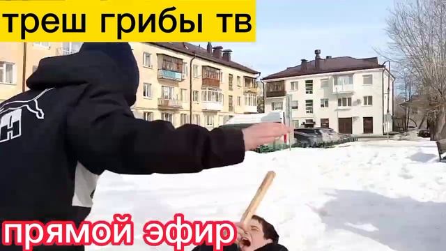ТРЕШ ГРИБЫ новости 1 эпизод смотреть онлайн