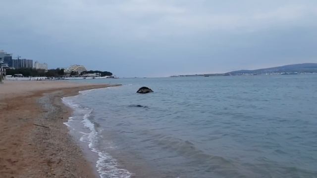 ГЕЛЕНДЖИК...ЗИМА НАСТУПАЕТ?...12 ноября 2018... смотреть онлайн