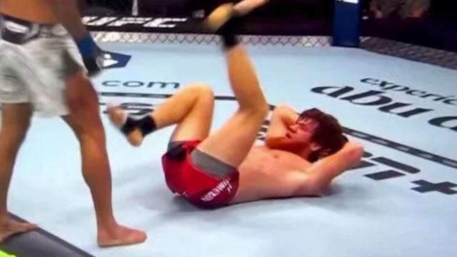 My Thoughts on Shara Magomedov Vs Bruno Silva at UFC 294 смотреть онлайн