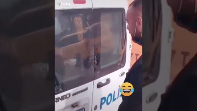 Приколы из Тик Тока смотреть онлайн