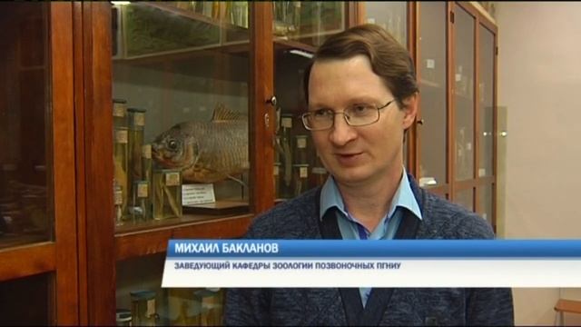 В пермском Ботаническом саду завели пиранью-вегетарианку смотреть онлайн