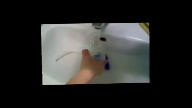 моем клетку у попугаев смотреть онлайн