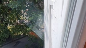 Почему потеют стеклопакеты? Нужно их заменить?