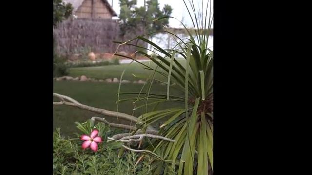 АБУ ДАБИ. Abu Dhabi смотреть онлайн