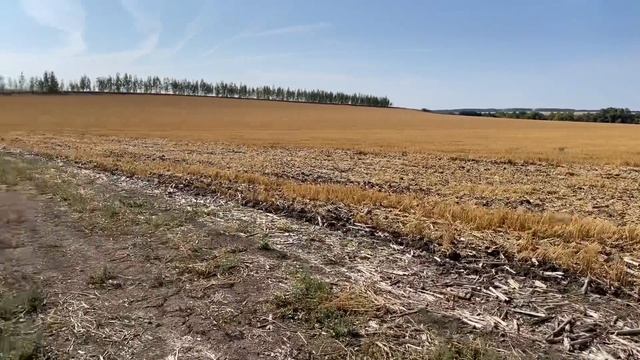 Глифосат. Мой опыт работы. смотреть онлайн