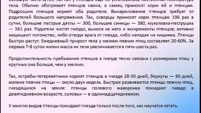 Годовой жизненный цикл в жизни птиц. Биология 7 класс смотреть онлайн