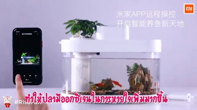 รีวิว ~ Oh My Godddd!! XIAOMI มีของเกือบทุกอย่างจริงเหรอ? смотреть онлайн