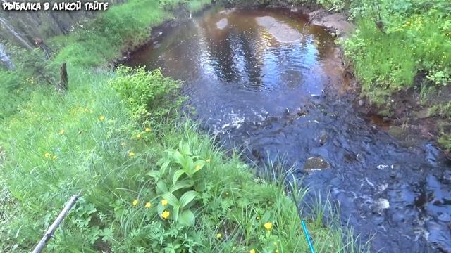 Рыбалка на маленькой лесной речке / Крупный хариус смотреть онлайн