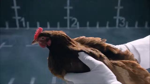 MERCEDES VS JAGUAR Very FuNNy COMMERCIAL BATTLE and war 1 Million views смотреть онлайн