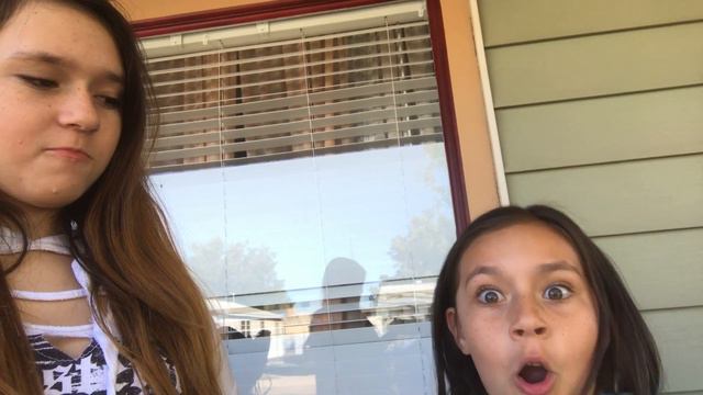 WASPS ATTACKED US|October 29, 2017|Girls, Toys & More|