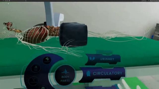 Human Anatomy using Virtual Reality смотреть онлайн