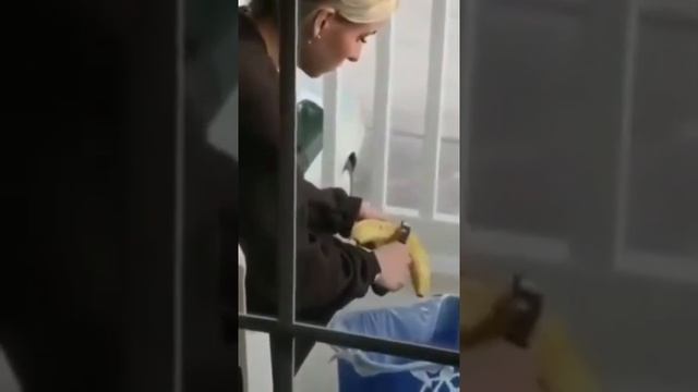 Как чистить БАНАН? смотреть онлайн