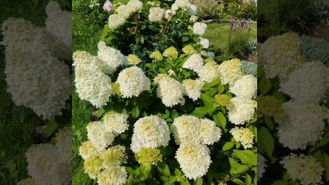 3 ноября 2023 г. смотреть онлайн