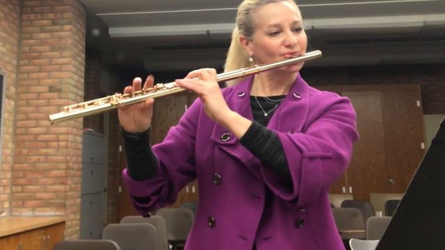 Boehm 24 Caprices #10 Presto смотреть онлайн