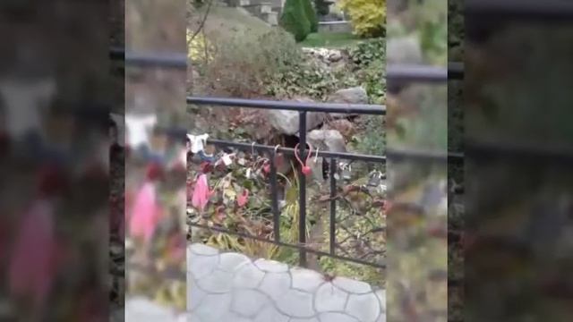 Белокуриха.октябрь 2019 смотреть онлайн