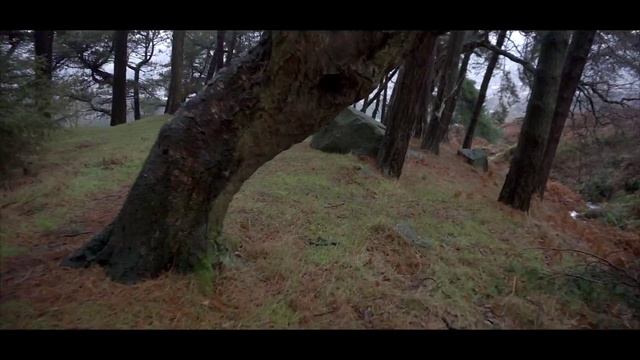 Glidecam Test - HD1000 with a Sony Nex-6 at Ilkley Moor Waterfall смотреть онлайн