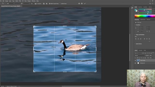Photoshop Zoom And Crop Tools