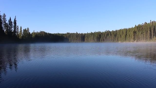 Волки окружили мальчика плотным кольцом, но расступились, когда увидели это смотреть онлайн