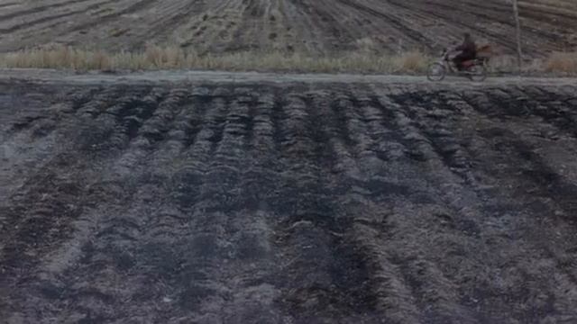 The Song Of Sparrows (Film Iran 2008) | Subtitle Indonesia