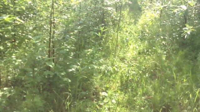 Заметка о рыбалке Приобье 2015 смотреть онлайн