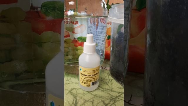 Перекись водорода для вашей рассады . Суперсредство в помощь! смотреть онлайн