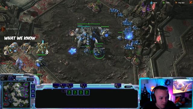 The PEAK ZERG MINDSET | ZvP Macro Guide смотреть онлайн