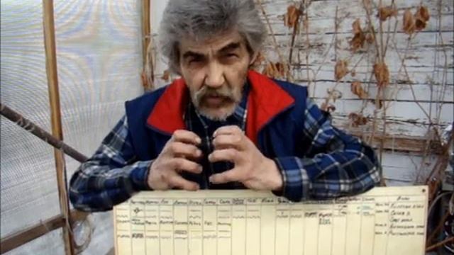 Логика пища клетки и вирусы смотреть онлайн