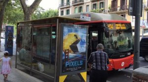 Аквапарк для собак! Как жить с собакой в Барселоне? Падай на хвост.