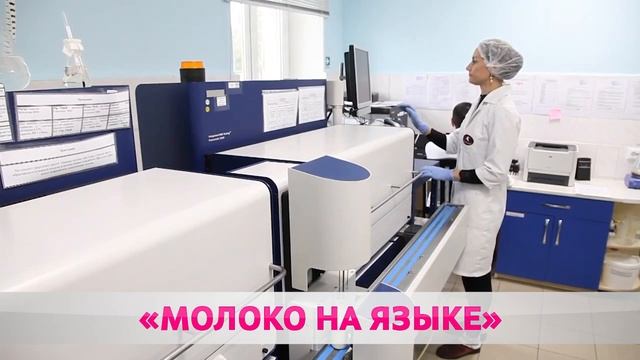 КАКОЕ МОЛОКО ПОЛЕЗНЕЕ И СКОЛЬКО ПИТЬ смотреть онлайн