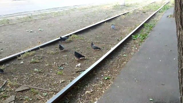 Одесса, 9 июня 2022 года. У нас на районе... смотреть онлайн