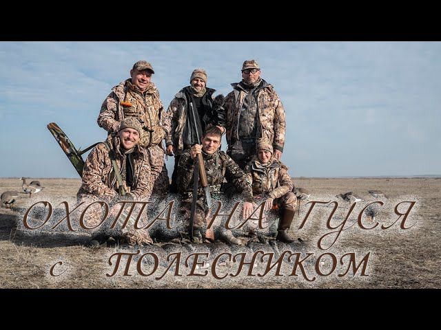 ОХОТА НА ГУСЯ с ПОЛЕСНИКОМ