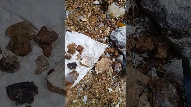 Tes MD 3010 II смотреть онлайн