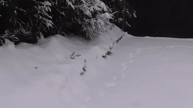 2017 01 05 11 14 42 00006 Panasonic HC V550 95 mb смотреть онлайн