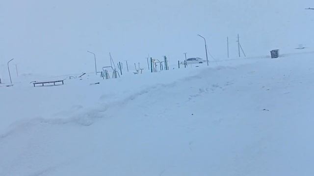 Fnaf. Freddy. Public agent. Pretty girl смотреть онлайн