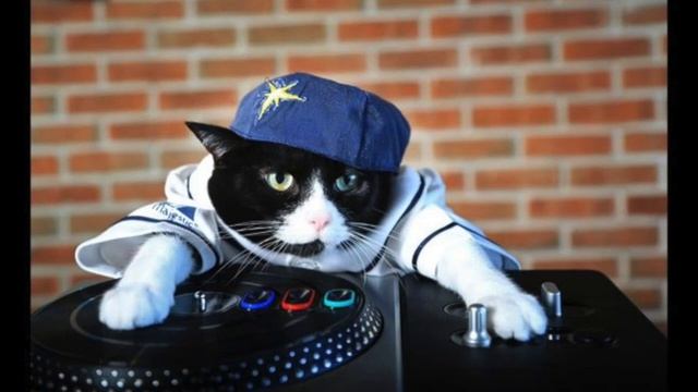 Groovy deep house grooves: Chocolate Disco #08 смотреть онлайн