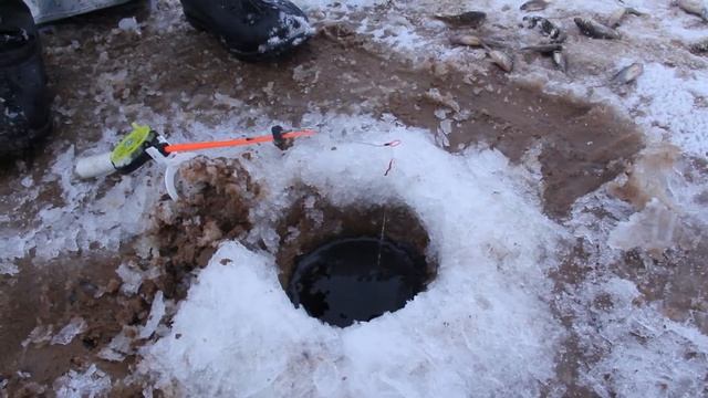 Рыбалка на Рыбинском водохранилище. (362 хвоста по первому льду) смотреть онлайн