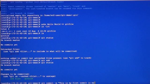Git and GitHub Demo (LAB) using AWS смотреть онлайн