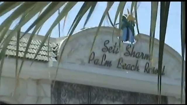 Hotel Seti Sharm Palm Beach Resort 4* Egypt смотреть онлайн