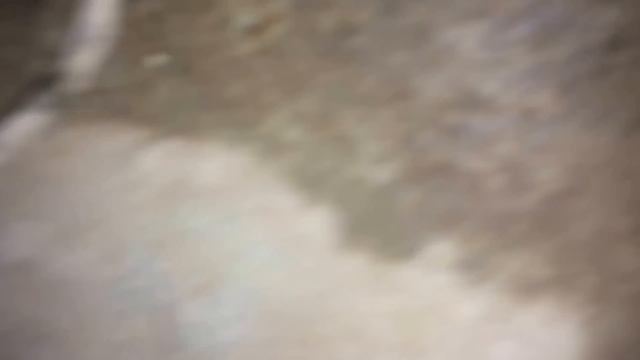 Снятие КПП Нива Шевроле и замена сцепления. Ремонт Нива Шевроле своими руками смотреть онлайн