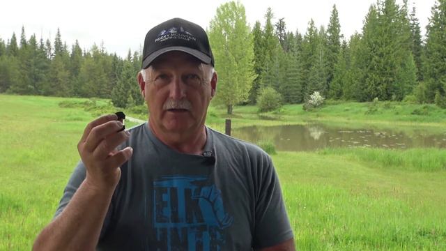 Black Magic Elk Diaphragm