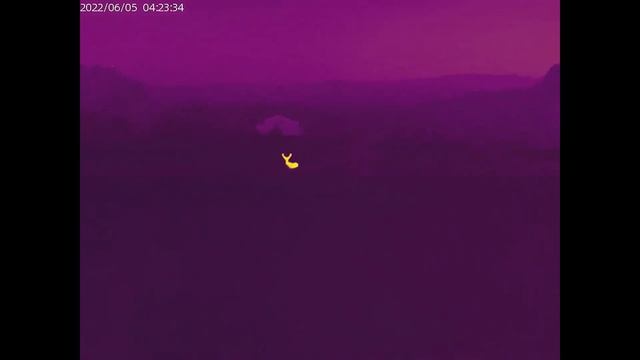 ThermTec Cyclops 335 - Monokular Termowizyjny TEST